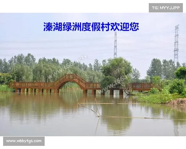 英超翻译字幕：提升观赛体验与跨文化交流的桥梁